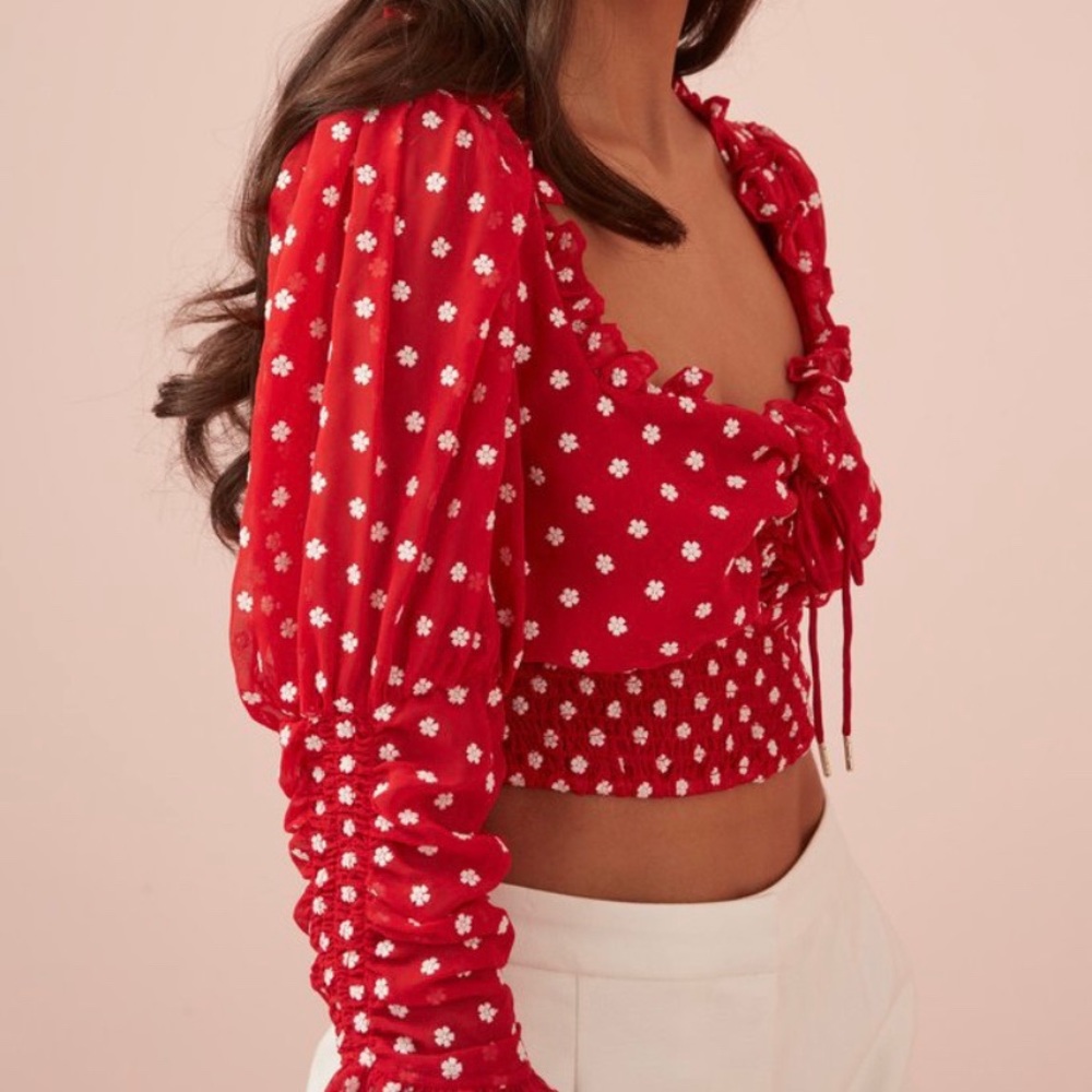 NWT Finders Keepers Red Embroidered Floral Crop